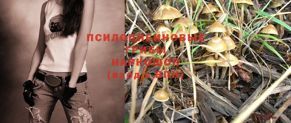 трава Бугульма