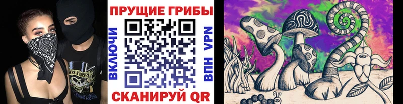 Галлюциногенные грибы MAGIC MUSHROOMS  сколько стоит  Верхний Тагил 